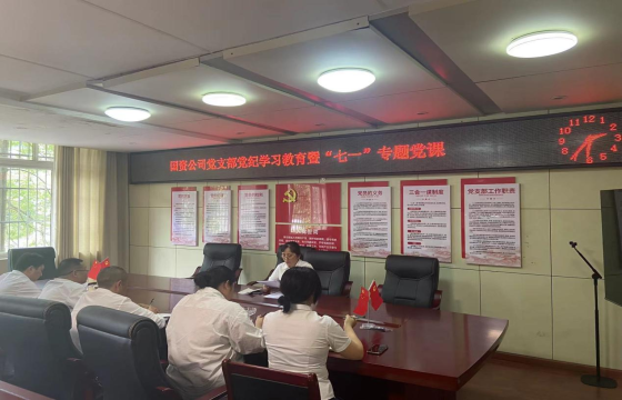 天全县国有资产经营有限公司党支部 庆七一主题党日活动